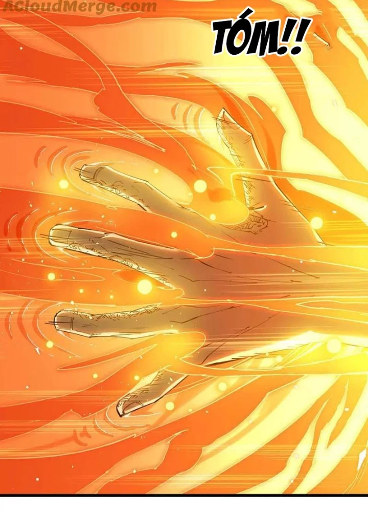 Ngao Bái Chuyển Sinh Thế Giới Khác Chapter 43 - Trang 2