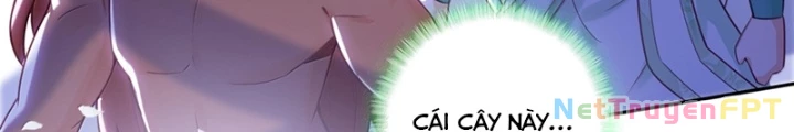 Lão Đại Xuyên Không Thành Tiên Nữ Chapter 312 - Trang 3