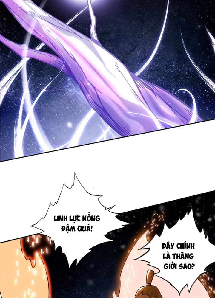 Lão Đại Xuyên Không Thành Tiên Nữ Chapter 312 - Trang 3