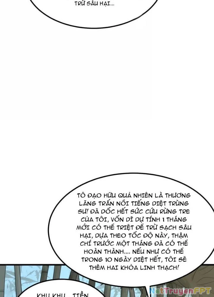 Tu Tiên Bắt Đầu Từ Trường Sinh Chapter 5 - Trang 2