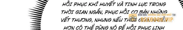 Tu Tiên Bắt Đầu Từ Trường Sinh Chapter 20 - Trang 2