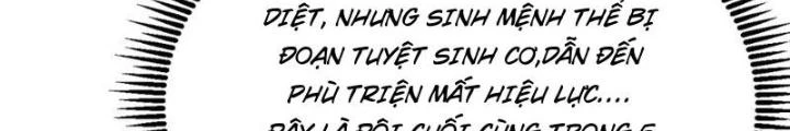 Tu Tiên Bắt Đầu Từ Trường Sinh Chapter 21 - Trang 2