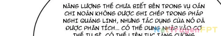 Tu Tiên Bắt Đầu Từ Trường Sinh Chapter 30 - Trang 2