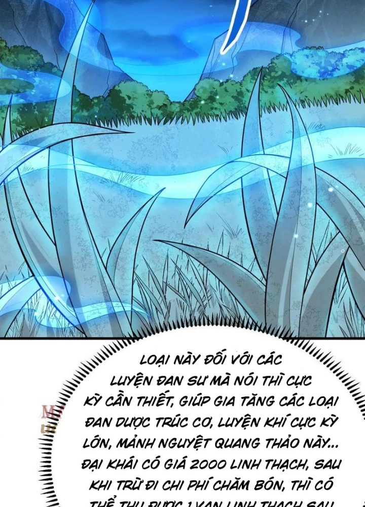 Tu Tiên Bắt Đầu Từ Trường Sinh Chapter 41 - Trang 2