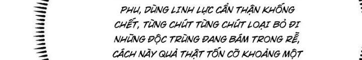 Tu Tiên Bắt Đầu Từ Trường Sinh Chapter 41 - Trang 2