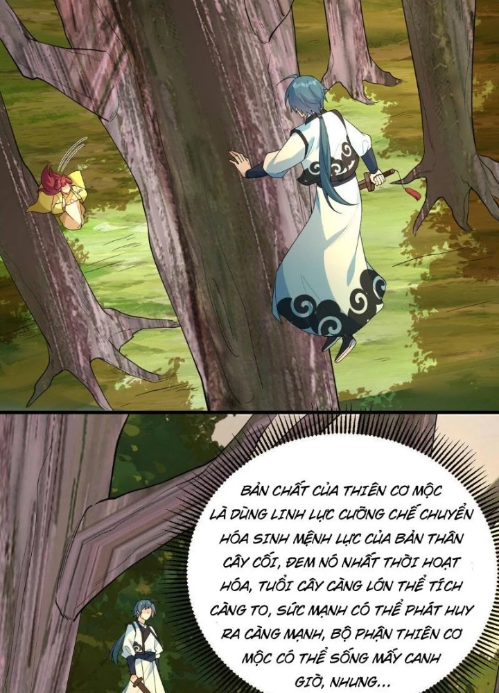 Tu Tiên Bắt Đầu Từ Trường Sinh Chapter 55 - Trang 2