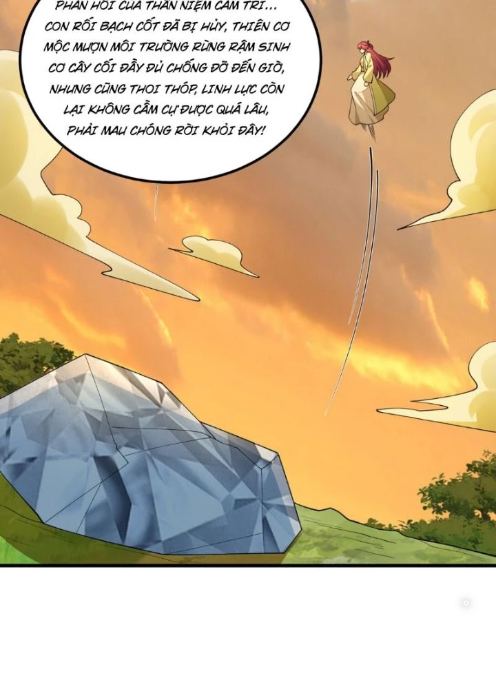 Tu Tiên Bắt Đầu Từ Trường Sinh Chapter 55 - Trang 2