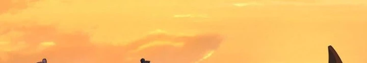 Tu Tiên Bắt Đầu Từ Trường Sinh Chapter 56 - Trang 2