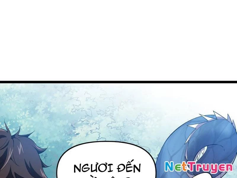 Xuyên Không Đến Thế Giới Tu Chân, Ta Vậy Mà Kích Hoạt Được Hệ Thống Plants vs Zombie Chapter 15 - Trang 2