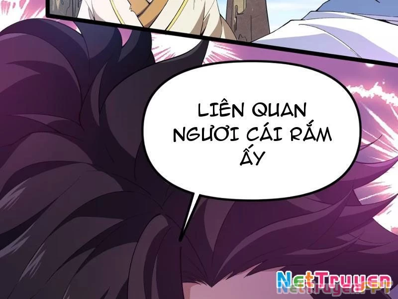 Xuyên Không Đến Thế Giới Tu Chân, Ta Vậy Mà Kích Hoạt Được Hệ Thống Plants vs Zombie Chapter 15 - Trang 2