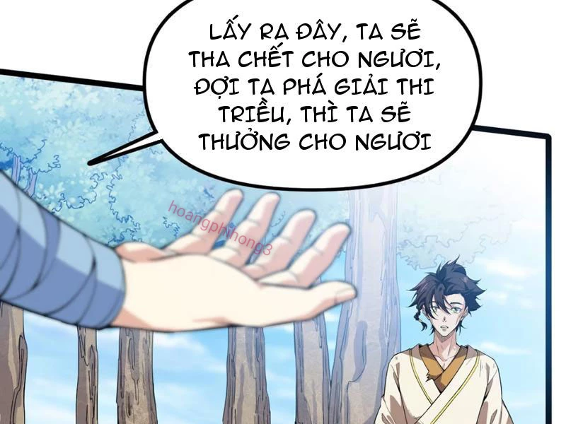 Xuyên Không Đến Thế Giới Tu Chân, Ta Vậy Mà Kích Hoạt Được Hệ Thống Plants vs Zombie Chapter 15 - Trang 2