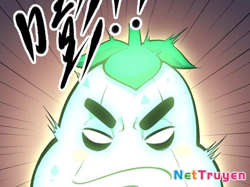 Xuyên Không Đến Thế Giới Tu Chân, Ta Vậy Mà Kích Hoạt Được Hệ Thống Plants vs Zombie Chapter 15 - Trang 2