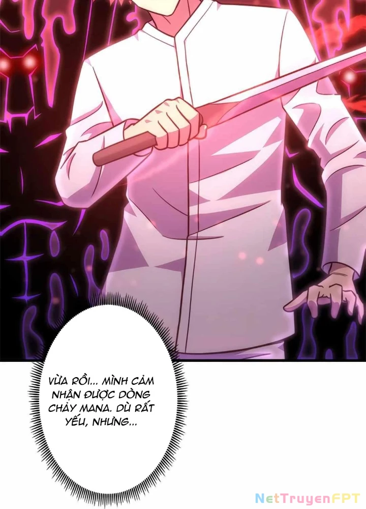 Lượng Mana Đáy Xã Hội! Ta Vô Địch Nhờ Kỹ Năng Của Mình Chapter 25 - Trang 3