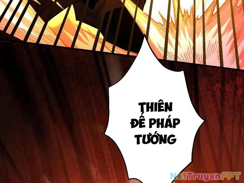 Gặp Mạnh Thì Mạnh, Ta Tu Vi Vô Thượng Hạn Chapter 33 - Trang 2