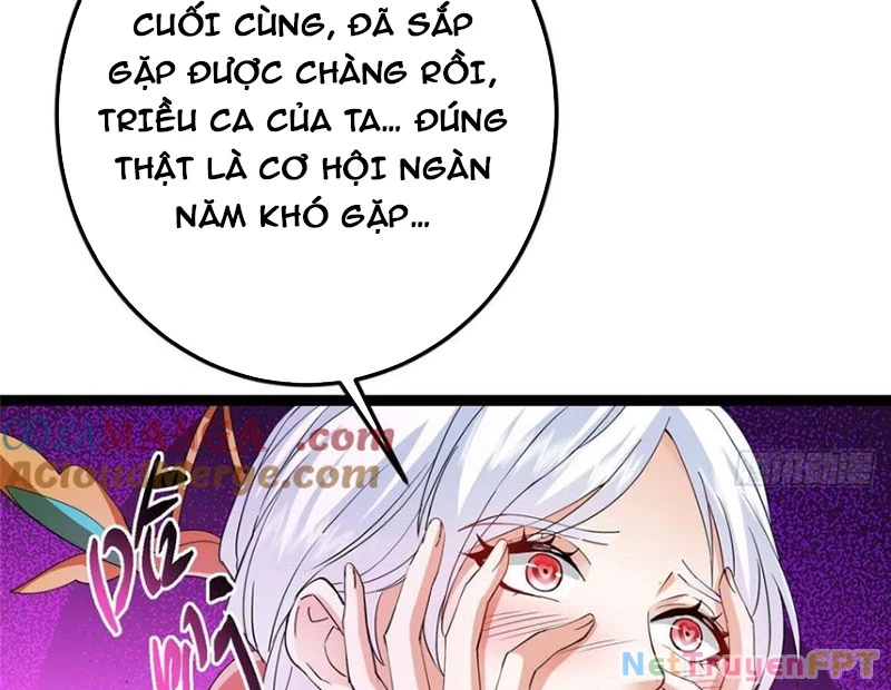 Chưởng Môn Khiêm Tốn Chút Chapter 484 - Trang 4