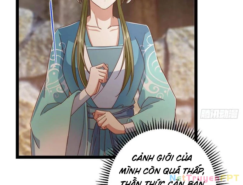 Chưởng Môn Khiêm Tốn Chút Chapter 484 - Trang 4