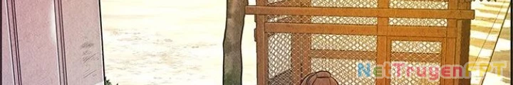 Cửa Hàng Đồ Cổ Tương Lai Chapter 11 - Trang 3