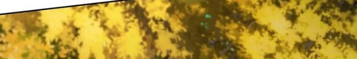 Thần Hồn Võ Đế Chapter 409 - Next Chapter 410