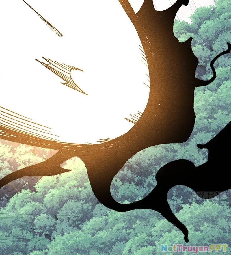 Vạn Cổ Tối Cường Tông Chapter 412 - Trang 4