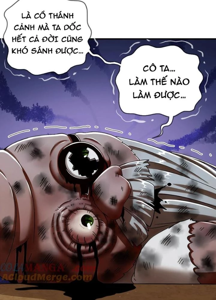 Tuyệt Sắc Đạo Lữ Đều Nói Ngô Hoàng Thể Chất Vô Địch Chapter 206 - Trang 4
