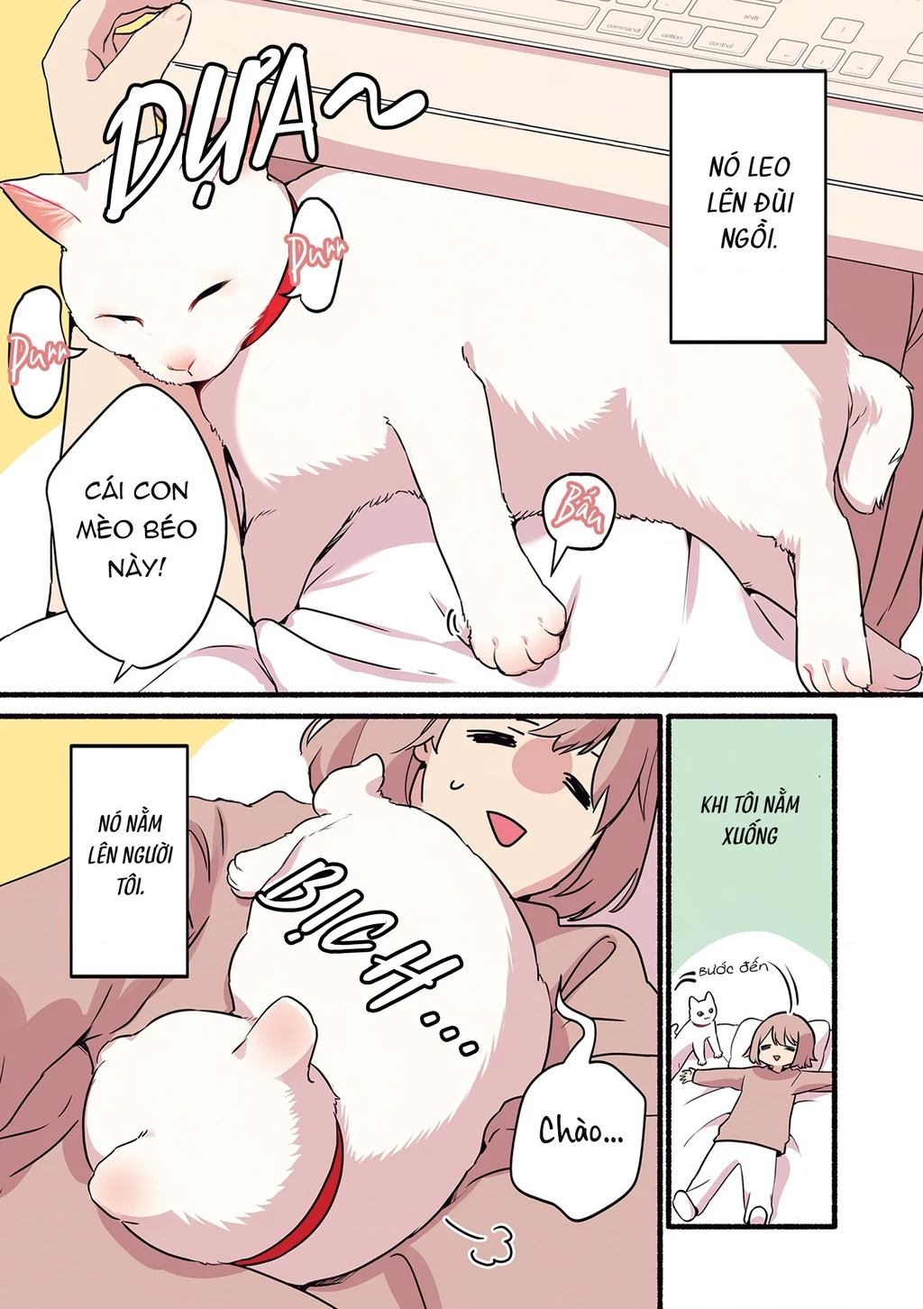 Miko, cô mèo trắng muốn được yêu thương Chapter 1 - Trang 2