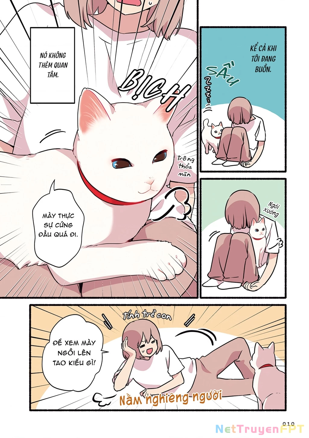 Miko, cô mèo trắng muốn được yêu thương Chapter 1 - Trang 2