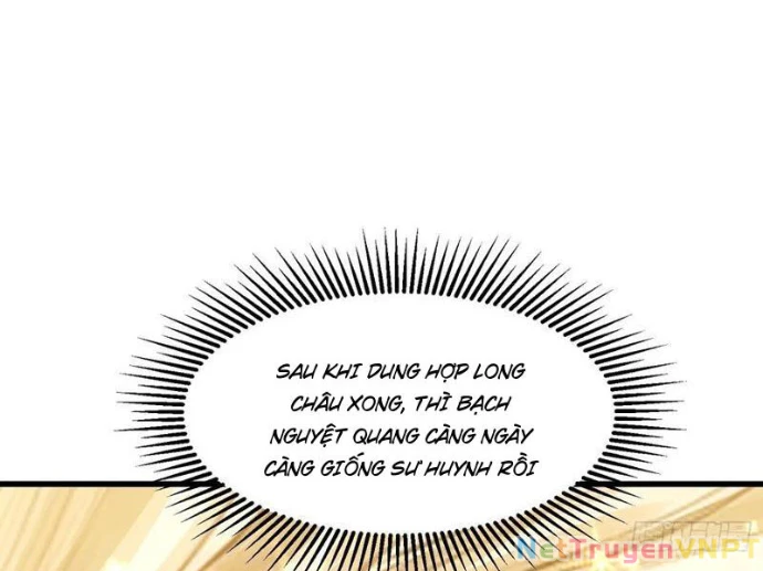 Tu chân trăm vạn năm: Đệ tử của ta trải rộng tiên giới Chapter 23 - Trang 2
