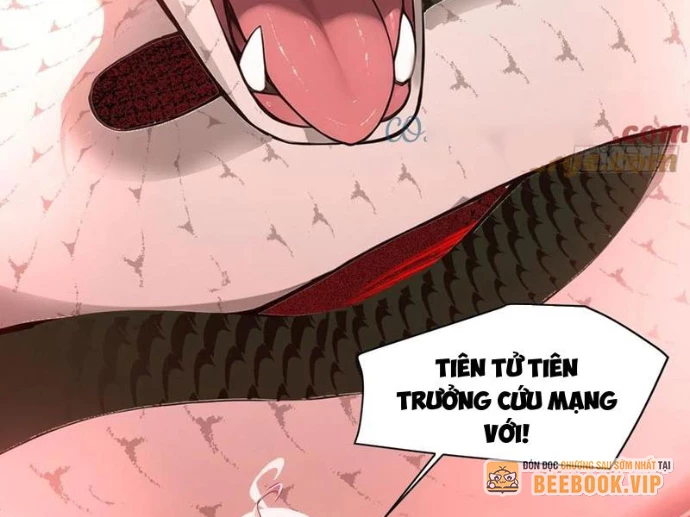 Tu chân trăm vạn năm: Đệ tử của ta trải rộng tiên giới Chapter 23 - Trang 2