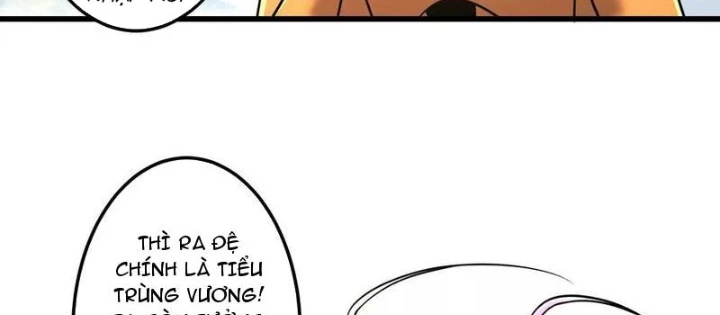 Bản Sao Của Tôi Là Trùng Vương Không Gian Chapter 41 - Trang 3