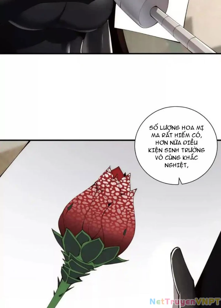 Ta Thăng Cấp Cùng Tai Ách Chapter 29 - Trang 3