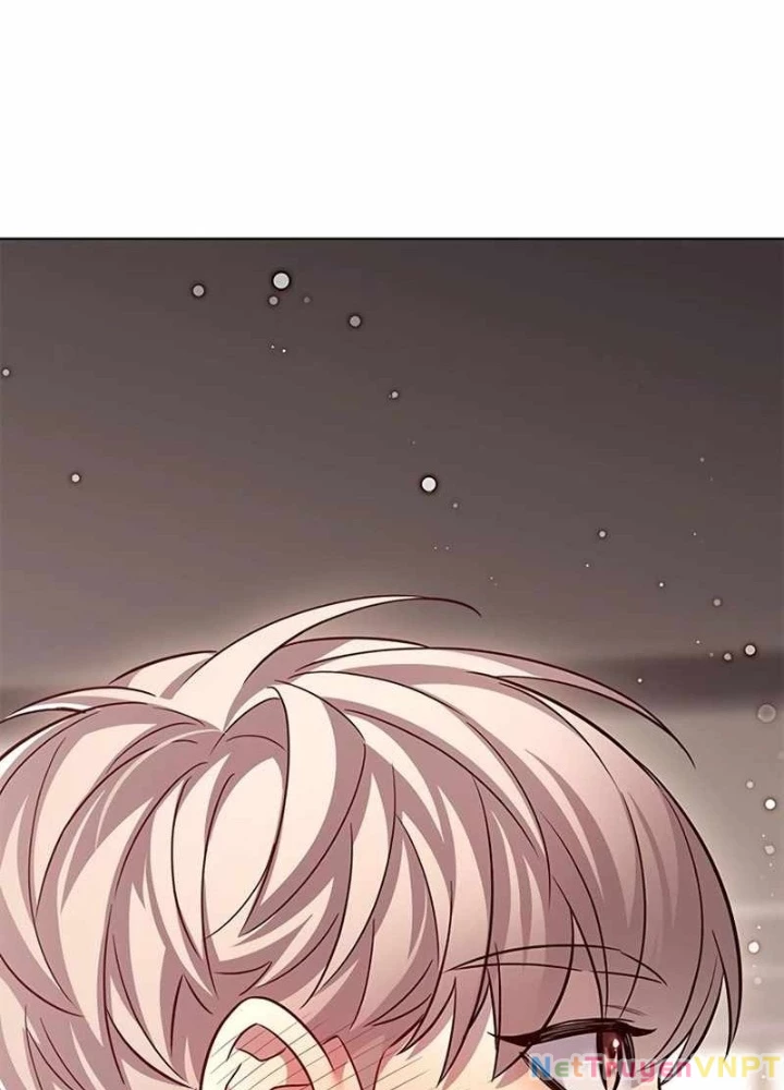 Hoá Thân Thành Mèo Chapter 342 - Trang 4