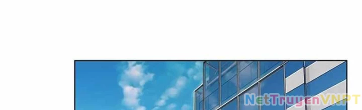 Hoá Thân Thành Mèo Chapter 343 - Trang 4