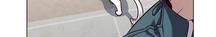 Hoá Thân Thành Mèo Chapter 343 - Trang 4