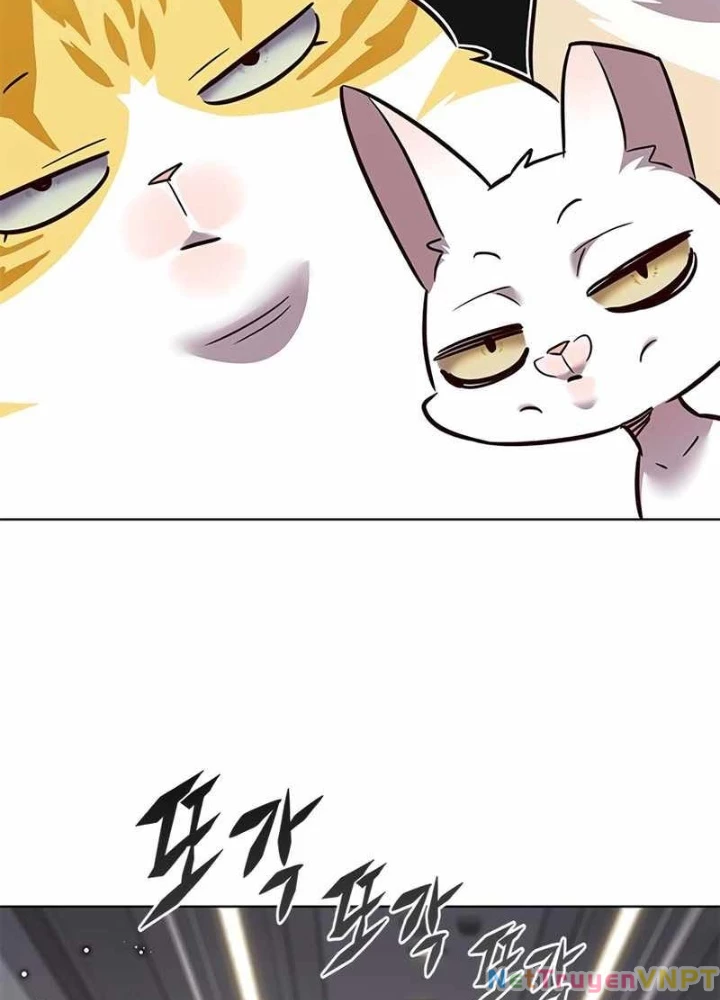 Hoá Thân Thành Mèo Chapter 343 - Trang 4