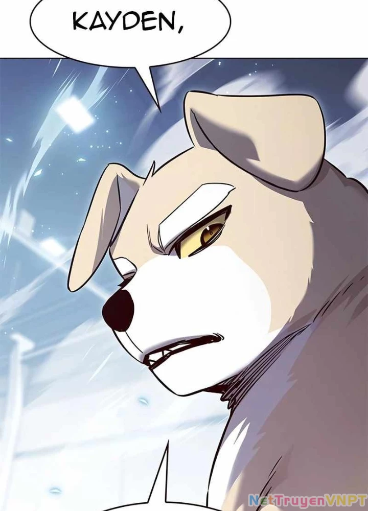 Hoá Thân Thành Mèo Chapter 343 - Trang 4