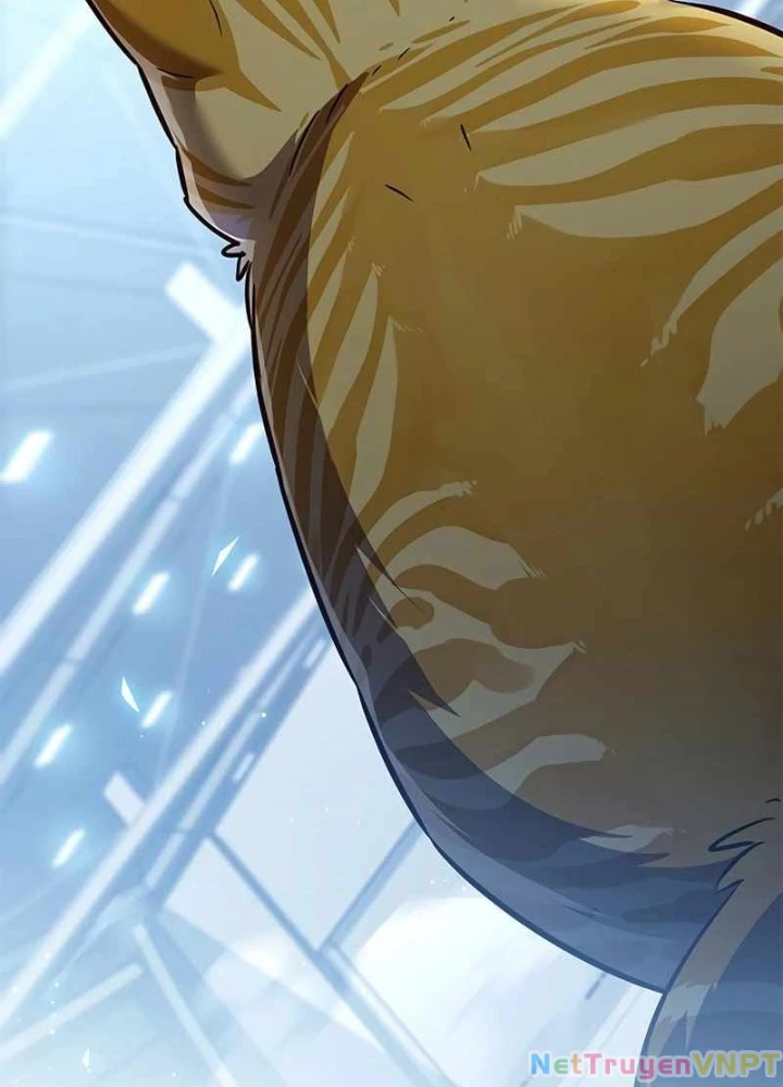 Hoá Thân Thành Mèo Chapter 343 - Trang 4