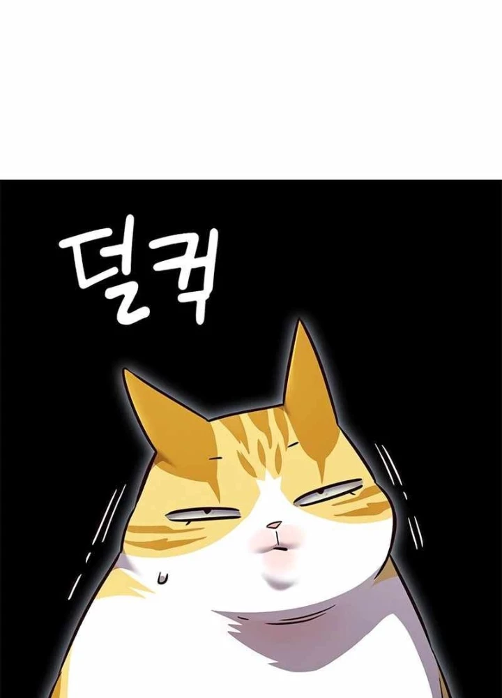 Hoá Thân Thành Mèo Chapter 343 - Trang 4