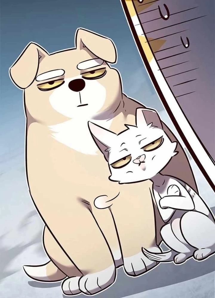 Hoá Thân Thành Mèo Chapter 343 - Trang 4