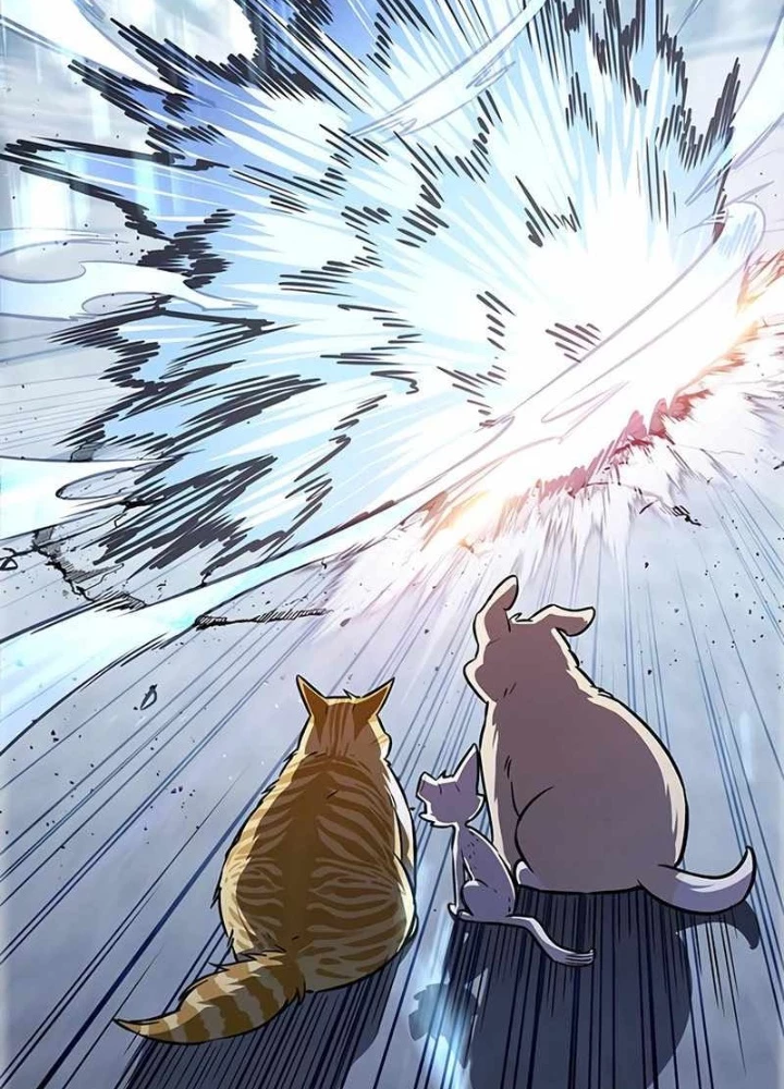Hoá Thân Thành Mèo Chapter 343 - Trang 4