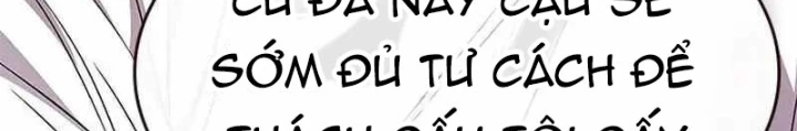 Hoá Thân Thành Mèo Chapter 344 - Trang 4
