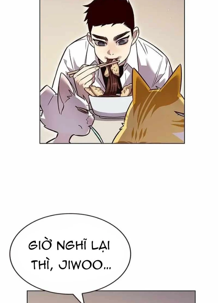 Hoá Thân Thành Mèo Chapter 344 - Trang 4