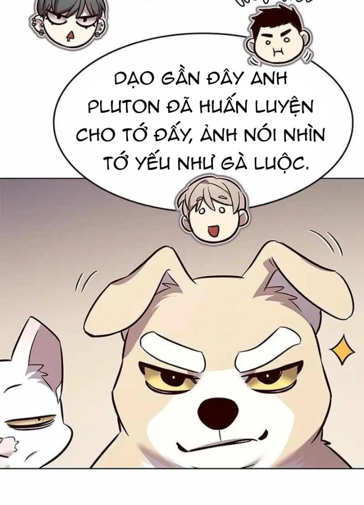 Hoá Thân Thành Mèo Chapter 344 - Trang 4