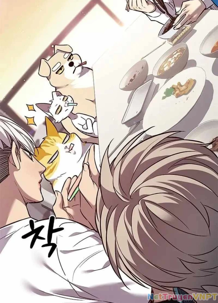 Hoá Thân Thành Mèo Chapter 344 - Trang 4