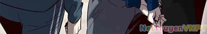 Hoá Thân Thành Mèo Chapter 344 - Trang 4