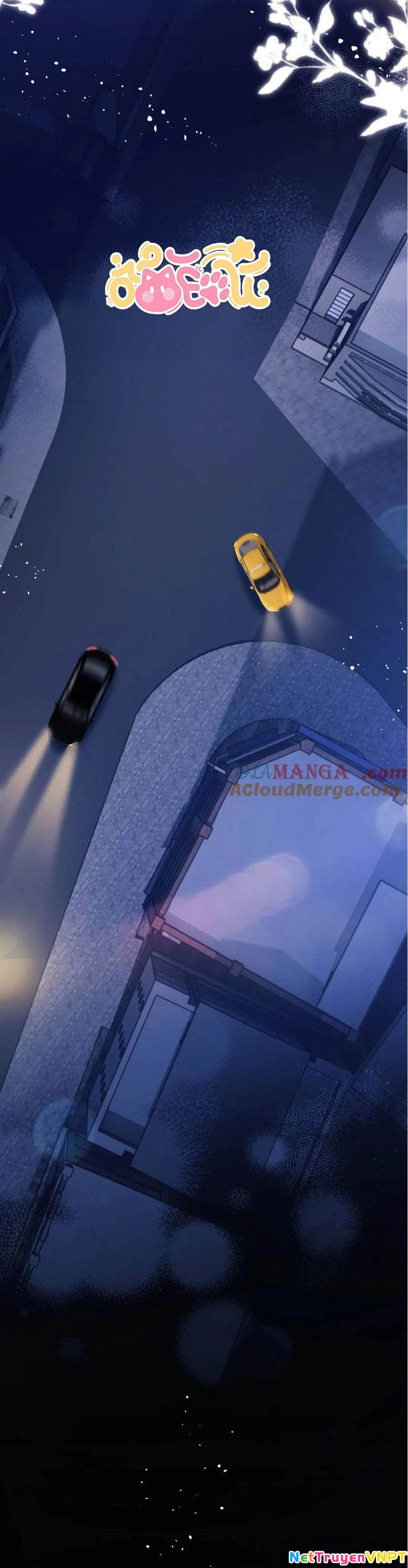 Trọng Sinh Trở Thành Fan" Vợ " Của Thần Tượng Chapter 87 - Trang 3