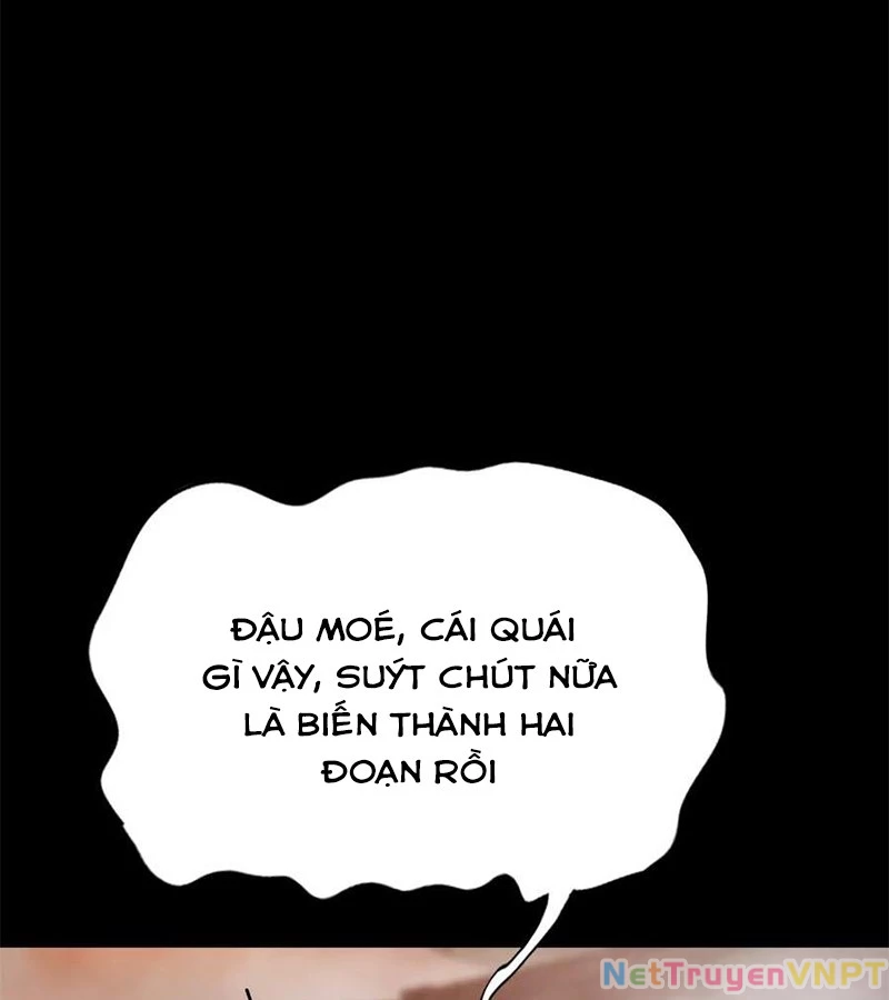 Phong Yêu Vấn Đạo Chapter 140 - Trang 4
