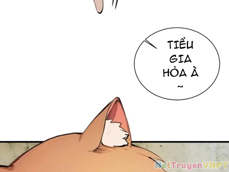 Ngươi Làm Bộ Tu Luyện Đi! Chapter 31 - Trang 3