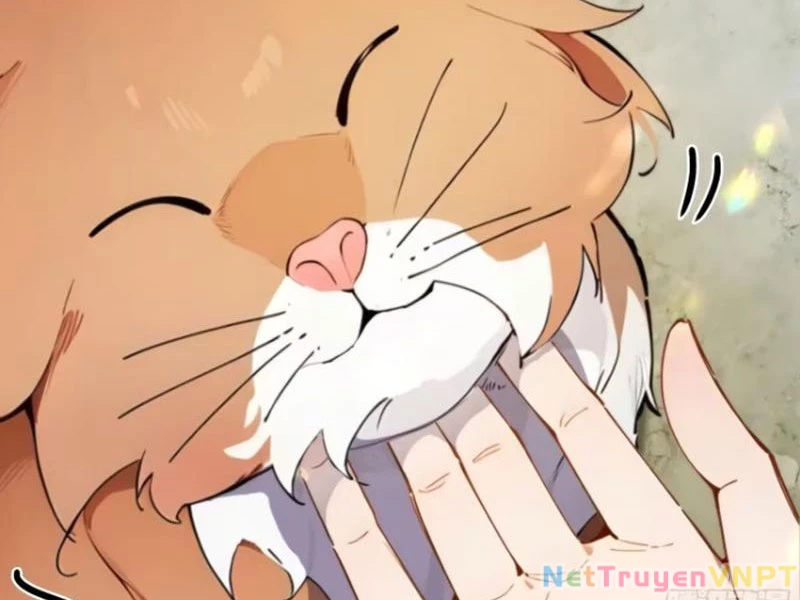 Ngươi Làm Bộ Tu Luyện Đi! Chapter 31 - Trang 3