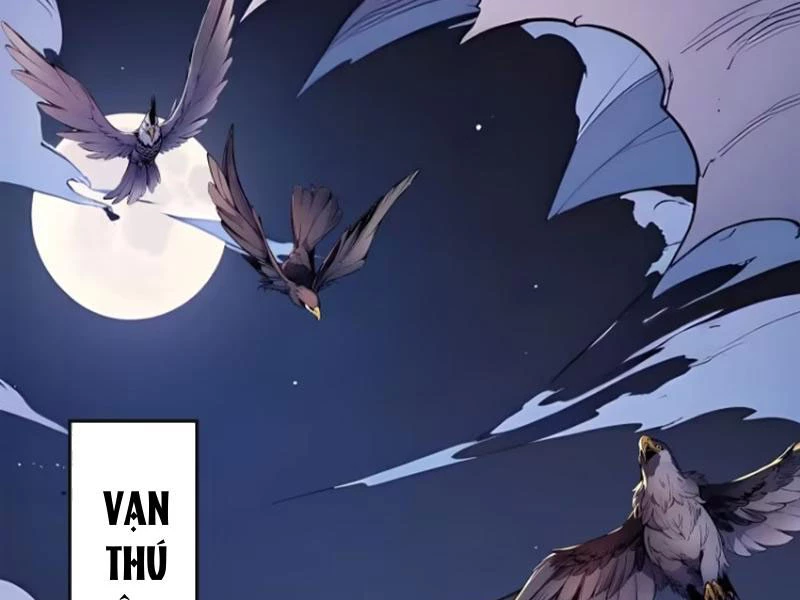 Ngươi Làm Bộ Tu Luyện Đi! Chapter 31 - Trang 3