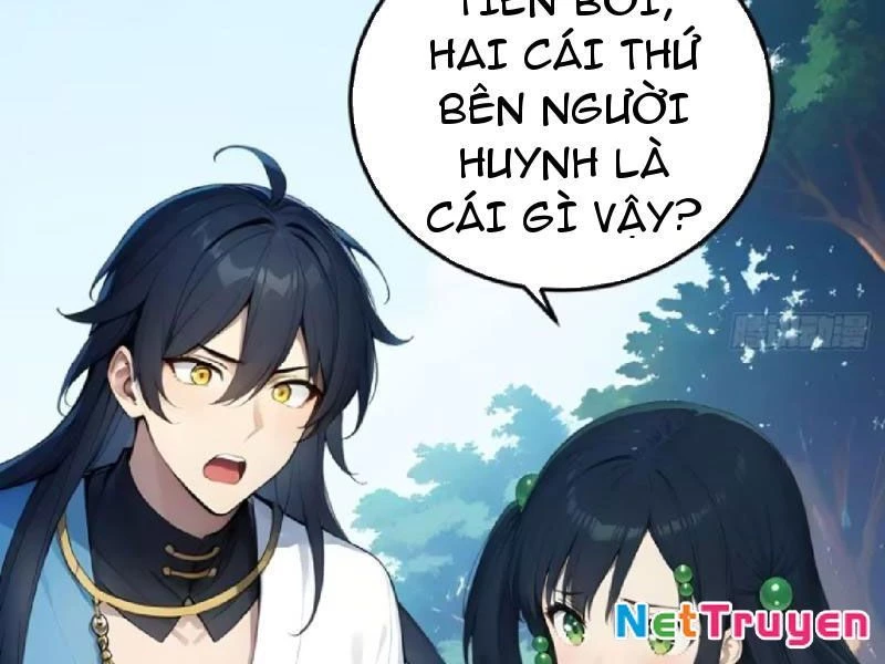 Ngươi Làm Bộ Tu Luyện Đi! Chapter 67 - Trang 3